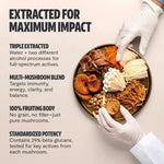 Organic Mushroom Supplement Capsules for Enhanced Immunity and Vitality - KoreyDeals